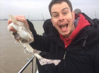 3 lb Lesser Spotted Dogfish by Dan A