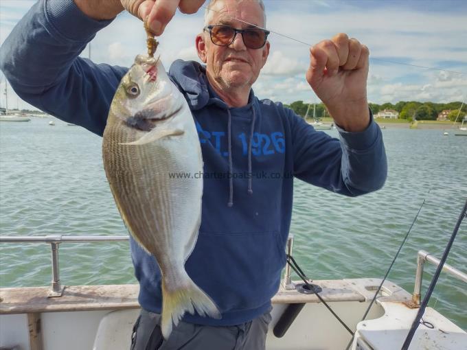 2 lb Gilt-head Sea Bream by kevs bream