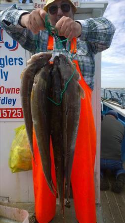 8 lb 1 oz Ling (Common) by berie singleton from hull 26 may 2014