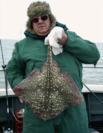 11 lb Thornback Ray by Derek Mole