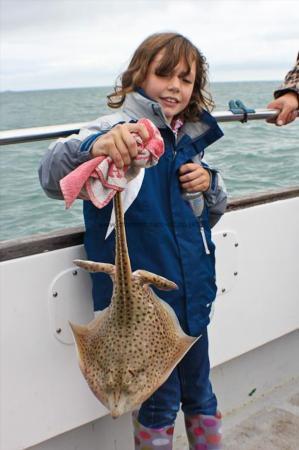 2 lb Spotted Ray by Hannah