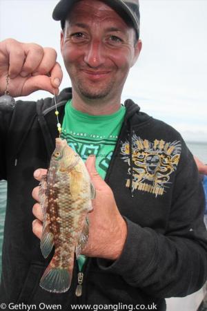 8 oz Corkwing Wrasse by Peter