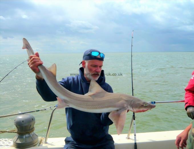 12 lb Smooth-hound by Phil