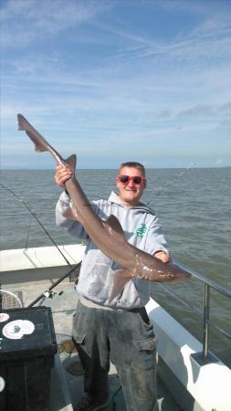 10 lb 8 oz Starry Smooth-hound by darren stephens