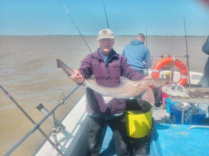 6 lb Smooth-hound by Dave