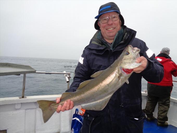 8 lb Pollock by Tim