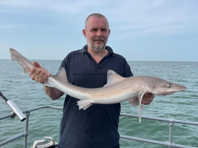 7 lb Smooth-hound (Common) by Unknown