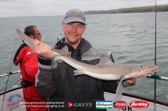 8 lb Starry Smooth-hound by Nick