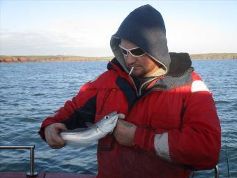 1 lb Whiting by Unknown