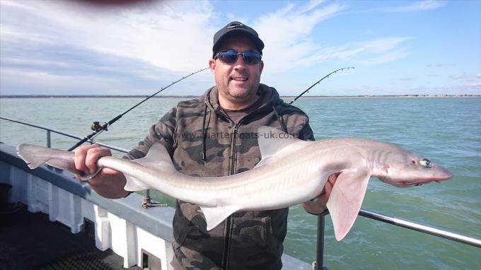 9 lb 1 oz Starry Smooth-hound by Darren from Teynham