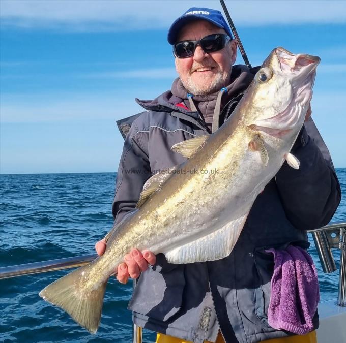 14 lb 3 oz Pollock by Rob