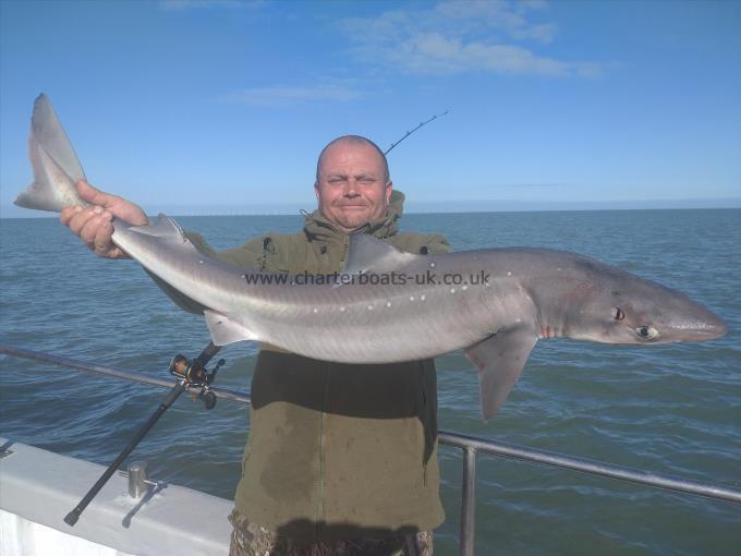 17 lb Spurdog by Ian From Bromley