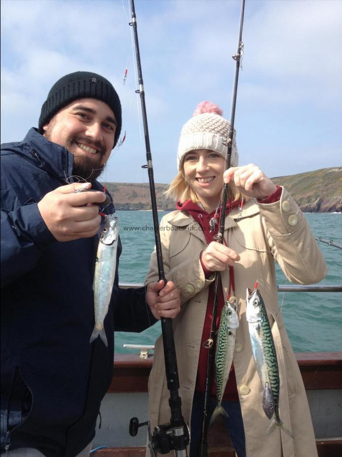 1 lb Mackerel by Catherine & Mark