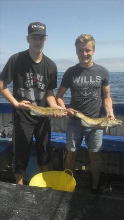 3 lb 6 oz Cod by Unknown