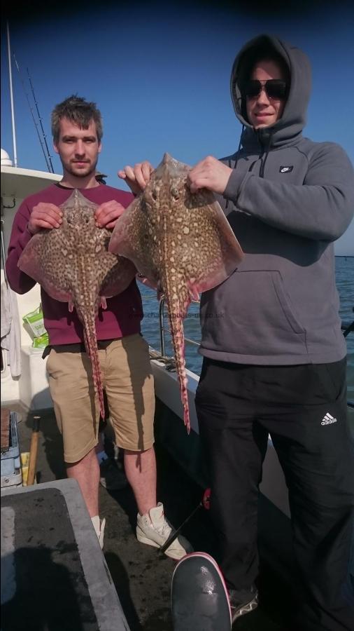 7 lb Thornback Ray by Bob Marshall