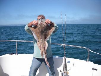 8 lb 6 oz Thornback Ray by Unknown