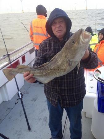 9 lb 4 oz Cod by Unknown