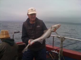 8 lb Smooth-hound by Dennis the Menace of the 'Burton Boys'