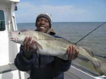 12 lb 5 oz Cod by Anthony Clarks 12 cod