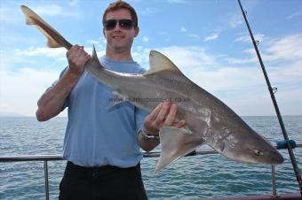 11 lb 9 oz Starry Smooth-hound by Stephen Slater