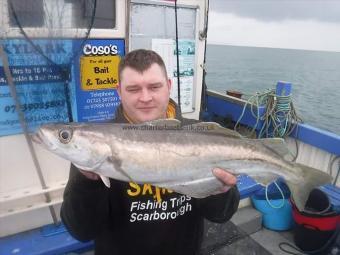 5 lb 8 oz Pollock by Ben Mennel
