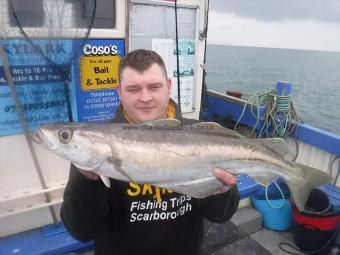 7 lb 8 oz Pollock by Ben Mennel