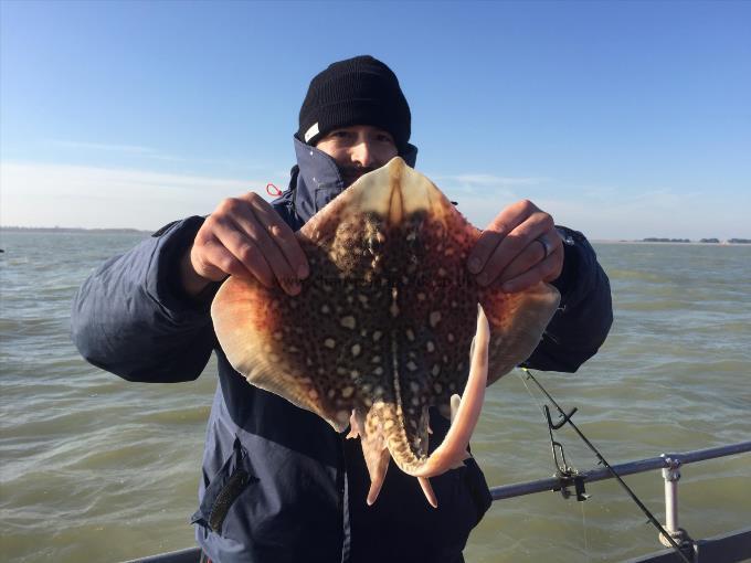 4 lb Thornback Ray by Unknown