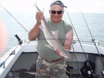 10 lb Starry Smooth-hound by Mark Sessions