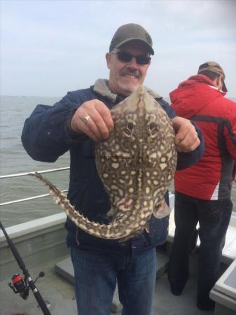 7 lb 9 oz Thornback Ray by Rob