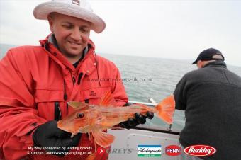 2 lb Tub Gurnard by Dave