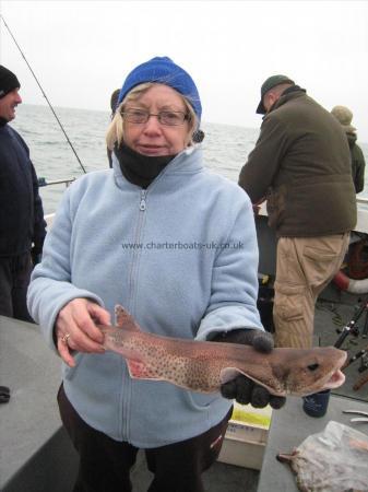 1 lb 12 oz Lesser Spotted Dogfish by Maureen