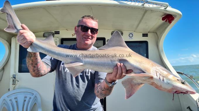 15 lb 5 oz Starry Smooth-hound by Danny