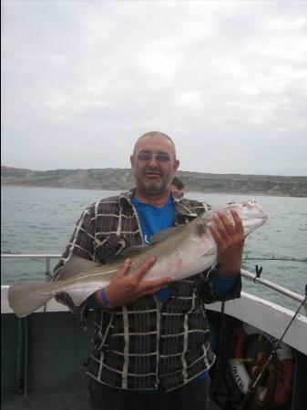 13 lb 8 oz Cod by Lucky Trevor