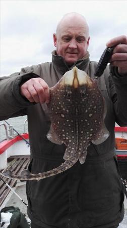 3 lb Thornback Ray by moke