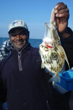 1 lb 2 oz John Dory by Wolseley