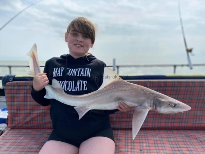 8 lb Smooth-hound by Unknown