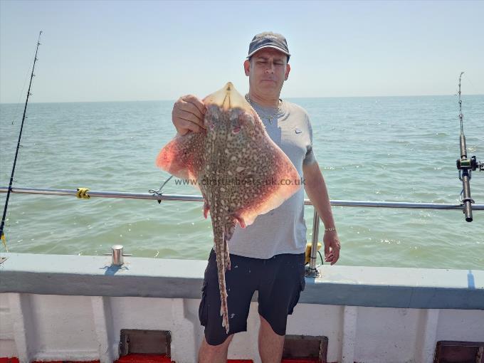8 lb Thornback Ray by Curtis