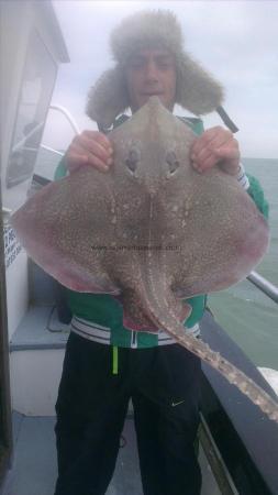 12 lb 5 oz Thornback Ray by wes from ramsgate