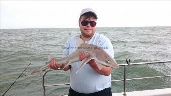 7 lb Smooth-hound (Common) by Bob Marshall