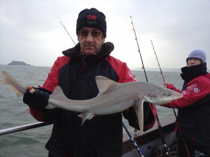 7 lb Smooth-hound by Gareth