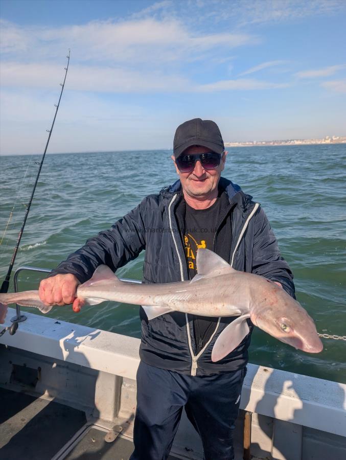 6 lb Smooth-hound by Beet