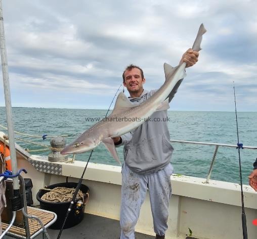 16 lb 8 oz Smooth-hound (Common) by Ross