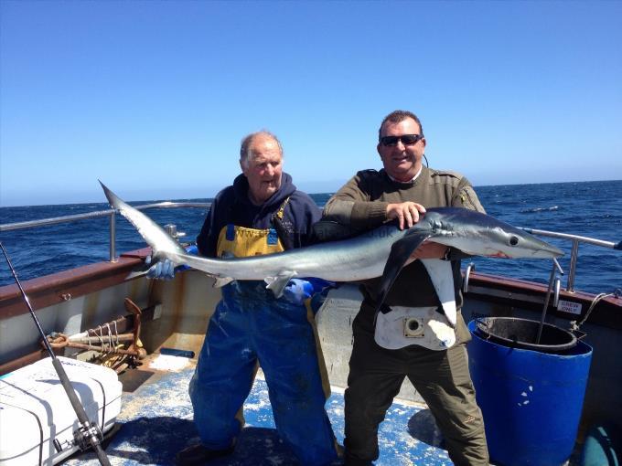 75 lb Blue Shark by Mark