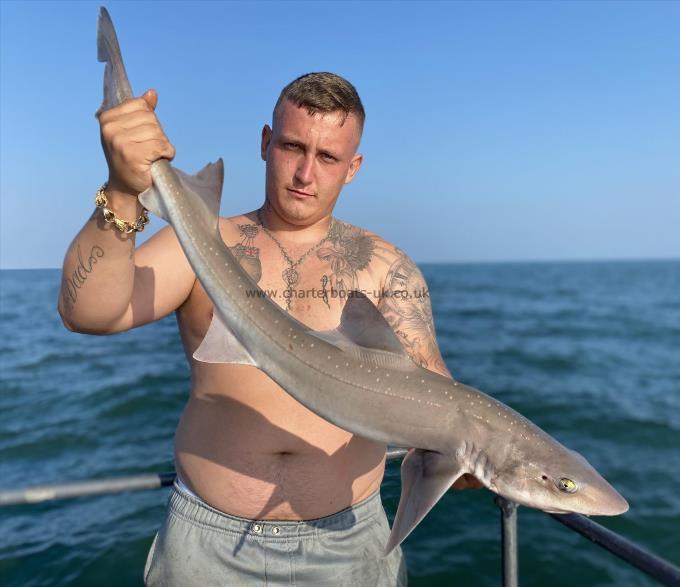 6 lb Smooth-hound by Unknown
