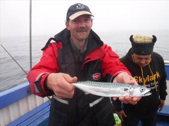 1 lb Mackerel by Unknown