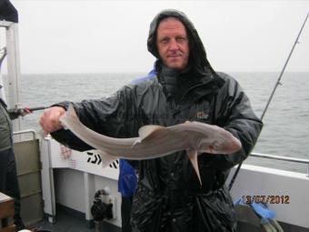 7 lb 4 oz Starry Smooth-hound by Unknown