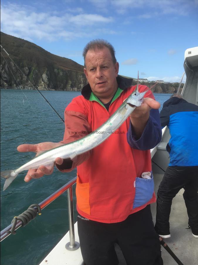 1 lb 8 oz Garfish by Kevin Turner