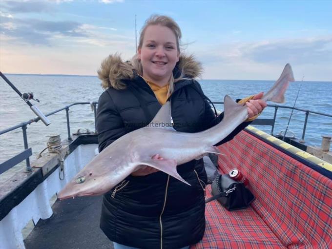 10 lb Smooth-hound (Common) by Unknown