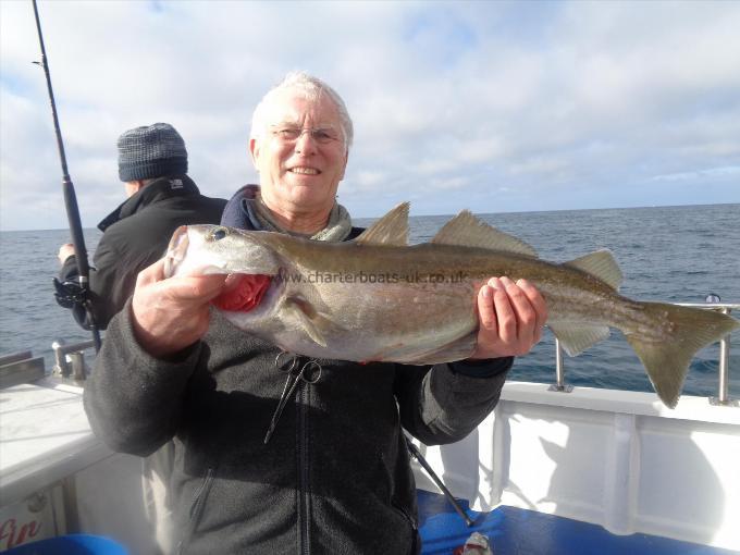 9 lb 6 oz Pollock by David