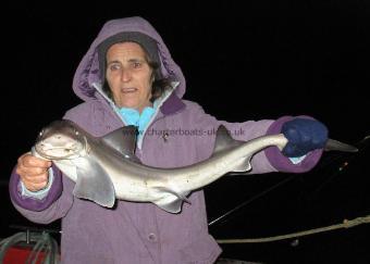 7 lb Smooth-hound (Common) by penny